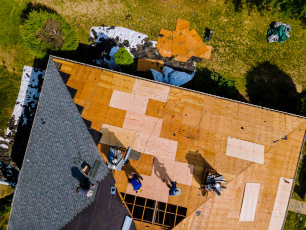 Best Best Roofing Contractors  in New Port Richey East, FL