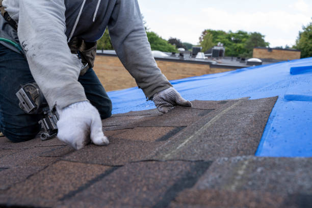 Best Roof Repair Services  in New Port Richey East, FL