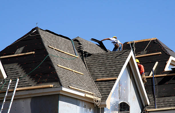 Quick and Trustworthy Emergency Roof Repair Services in New Port Richey East, FL