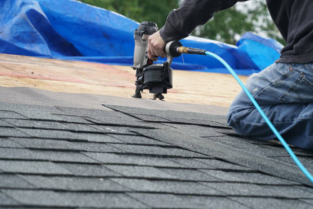 Trusted New Port Richey East, FL Roofing Contractor Experts
