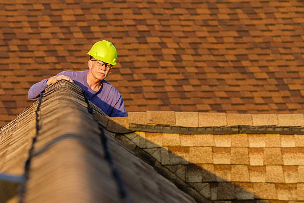 Quick and Trustworthy Emergency Roof Repair Services in New Port Richey East, FL