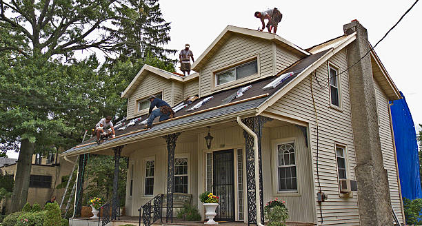 Best Tile Roofing Contractor  in New Port Richey East, FL