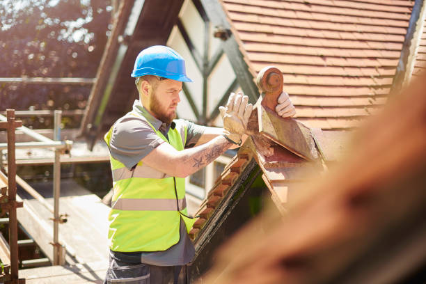 Best Storm Damage Roof Repair  in New Port Richey East, FL