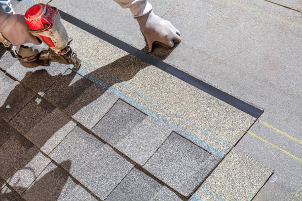 Best Affordable Roofing Company  in New Port Richey East, FL
