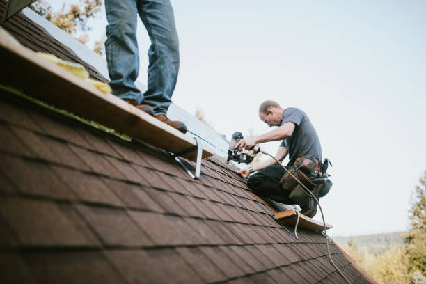 Best Metal Roofing Contractor  in New Port Richey East, FL